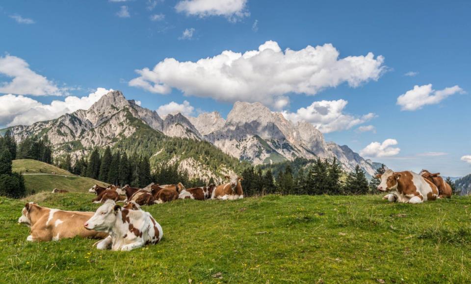 Alla Scoperta Delle Malghe Della Carnia Albergo Diffuso